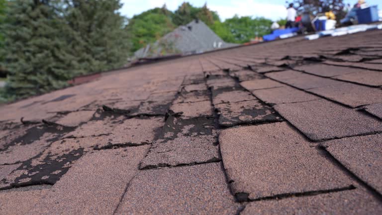Best Rubber Roofing (EPDM, TPO)  in Logan, NM